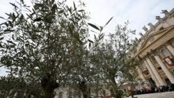 Սուրբ Պետրոսի տաճարը