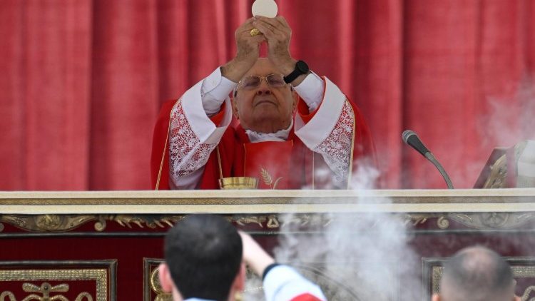  पवित्र मिस्सा का अनुष्ठान करते हुए याजक