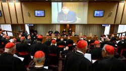 الاجتماع الثالث للكرادلة: حديث حول الكنيسة والعالم