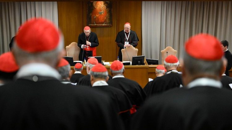 2025.04.25 4Â° Congregazione Cardinali