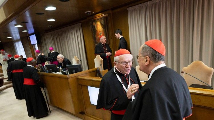 2025.04.30 7Âª Congregazione Cardinali