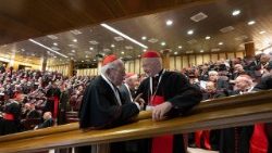 Septītā kardinālu tikšanās