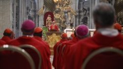 フェルナンデス枢機卿による「ノヴェンディアーリ」6日目のミサ　2025年5月1日　バチカン、聖ペトロ大聖堂