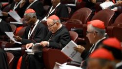 2025.05.02 8Âª Congregazione Cardinali