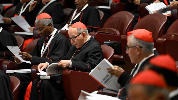 2025.05.02 8Âª Congregazione Cardinali