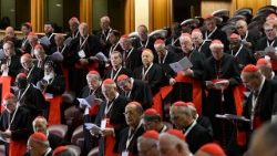 2025.05.02 8Âª Congregazione Cardinali