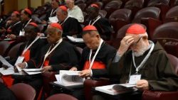 2025.05.02 8Âª Congregazione Cardinali
