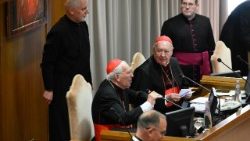 Giovanni Battista Re és Kevin Farrell bíborosok vezették a kilencedik  kongregációt  