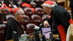 2025.05.05 10Âª Congregazione Cardinali