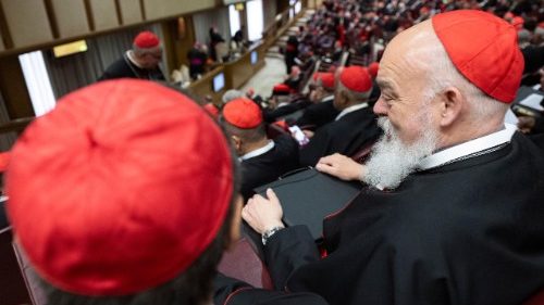 11. setkání kardinálů se zaměřilo na migraci, synodalitu a jednotu
