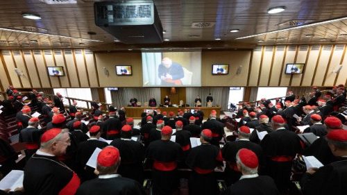 യുദ്ധ, സംഘർഷ മേഖലകളിൽ വെടിനിറുത്തലിന് ആഹ്വാനം ചെയ്‌ത്‌ കർദ്ദിനാൾ സംഘം