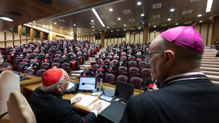 2025.05.05 11Âª Congregazione Cardinali