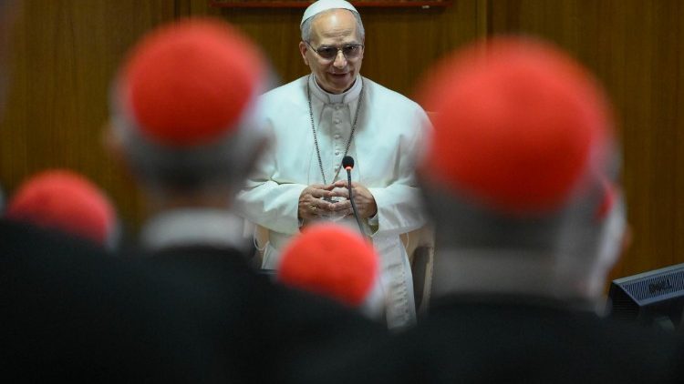 Setkání Lva XIV. s kardinály v nové synodní aule