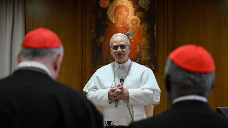 Papa Leone XIV con i cardinali