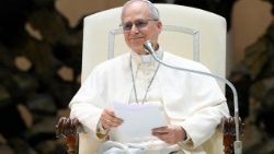 2025.05.12 Udienza ai rappresentanti dei Media