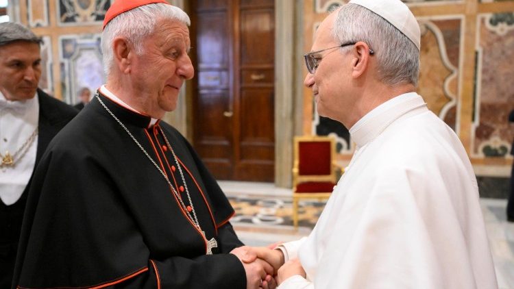 Leon XIV dziękował za służbę edukacyjną