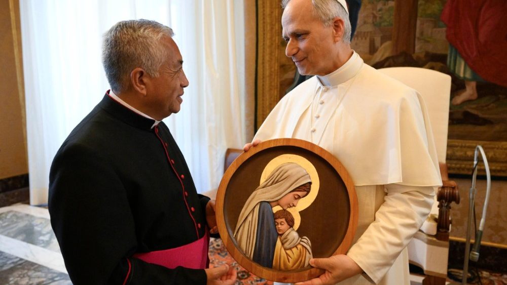 Аўдыенцыя для дэлегацыі дыяцэзіі Чыклая