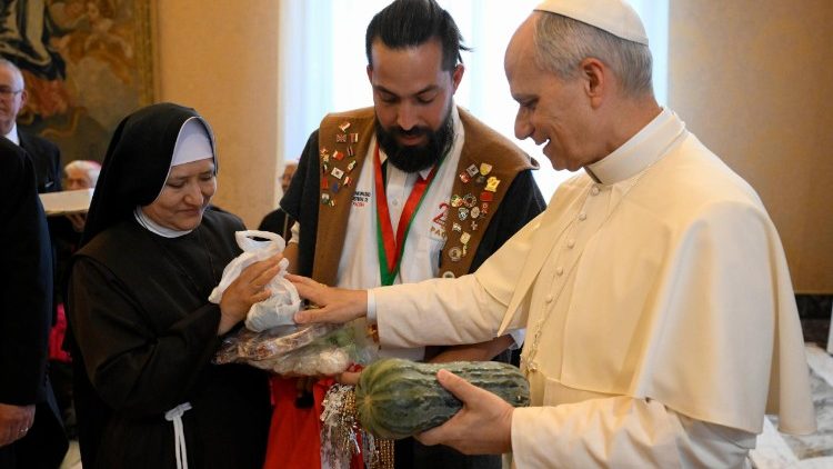 Z&aacute;běr z audience