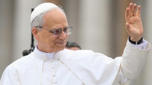 Leo XIV:s första katekes: Hopp om att trons frö ska bära frukt