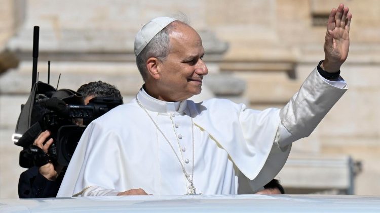 Leon XIV podczas jednej z audiencji