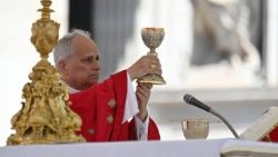 2025.06.08 Santa Messa nella SolennitÃ  di Pentecoste, per il Giubileo dei Movimenti, delle Associazioni e delle Nuove ComunitÃ  