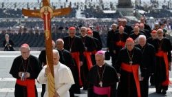 Papa Leon al XIV-lea la jubileul Sfântului Scaun