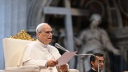 教皇レオ14世、 聖年のための謁見で　2025年6月14日　　バチカン・聖ペトロ大聖堂