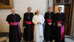 Prezydium Episkopatu Francji u Papieża Leona
