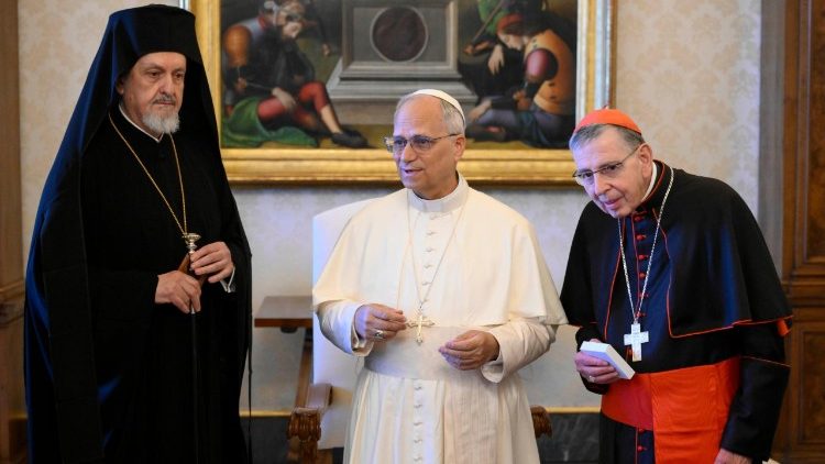 Z&aacute;běr z audience