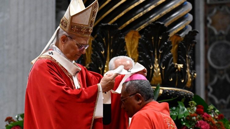 Papst Leo hat 54 neuernannten Metropolitan-Erzbischöfen das Pallium umgelegt. Der Großteil stammt aus Lateinamerika und den USA, zehn aus Europa
