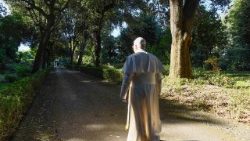 Mesaj al papei Leon al XIV-lea la Ziua mondială de rugăciune pentru ocrotirea creației din 2026