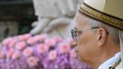 Leon al XIV-lea la Sfânta Liturghie pentru ocrotirea creației la Castel Gandolfo