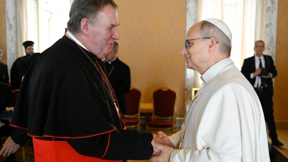 Аўдыенцыя Папы Льва XIV для ўдзельнікаў праваслаўна-каталіцкай экуменічнай пілігрымкі з ЗША