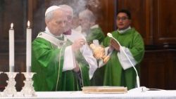 Santa misa presidida por el Papa León XIV en la Catedral de Albano, 20 de julio de 2025.