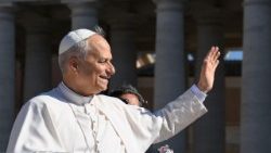 Pope Leo at the General Audience on July 30, 2025