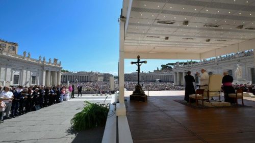 Wortlaut: Papst Leo bei der Generalaudienz am 30.7.2025