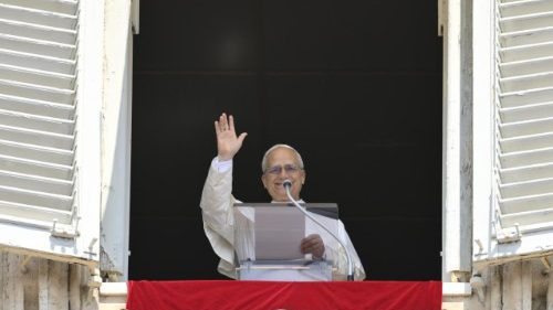 Папа: сокровище нашей жизни умножается делами милосердия