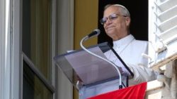 Papież wygłosił apel w sprawie Haiti po niedzielnej modlitwie Anioł Pański