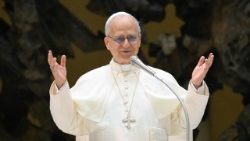 திருத்தந்தை பதினான்காம் லியோ 