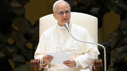 Wortlaut und Video: Katechese von Papst Leo XIV., Generalaudienz 13.8.2025