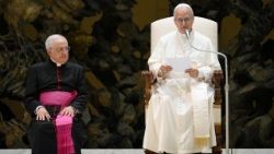 संत पापा लियो बुधवारीय आमदर्शन समारोह में