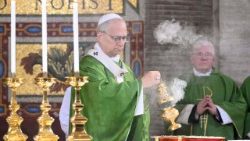 Leon XIV podczas Mszy św. w Albano