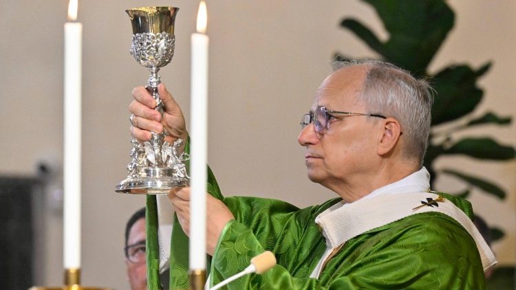 Opublikowano informacje o liturgiach Leona XIV w październiku