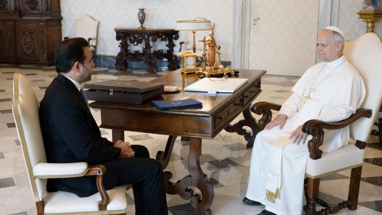 Pope Leo meets with Judge Mohamed Abdelsalam
