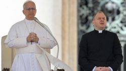 ലിയോ പതിനാലാമൻ പാപ്പാ - പൊതുകൂടിക്കാഴ്ചാസമ്മേളനത്തിൽനിന്നുള്ള ഒരു ദൃശ്യം