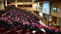 2025.09.11 Papa na maaskofu wapya kutoka Ulimwengu wa kimisionari.