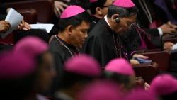 Bishops gathered in the New Synod Hall