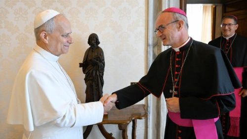 La Iglesia busca avanzar hacia una cultura global de prevención 