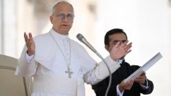 2025.09.17 Udienza Generale