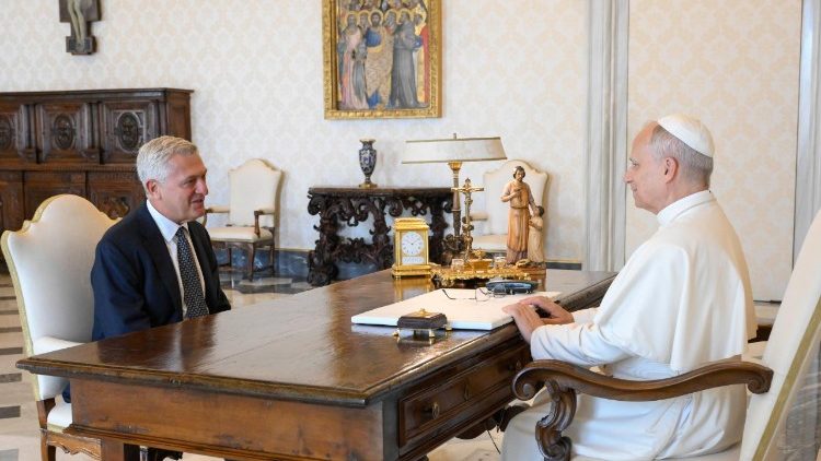 Z&aacute;běr z audience